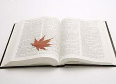 卡塔尼亚主场告捷，保级形势稍稍好转